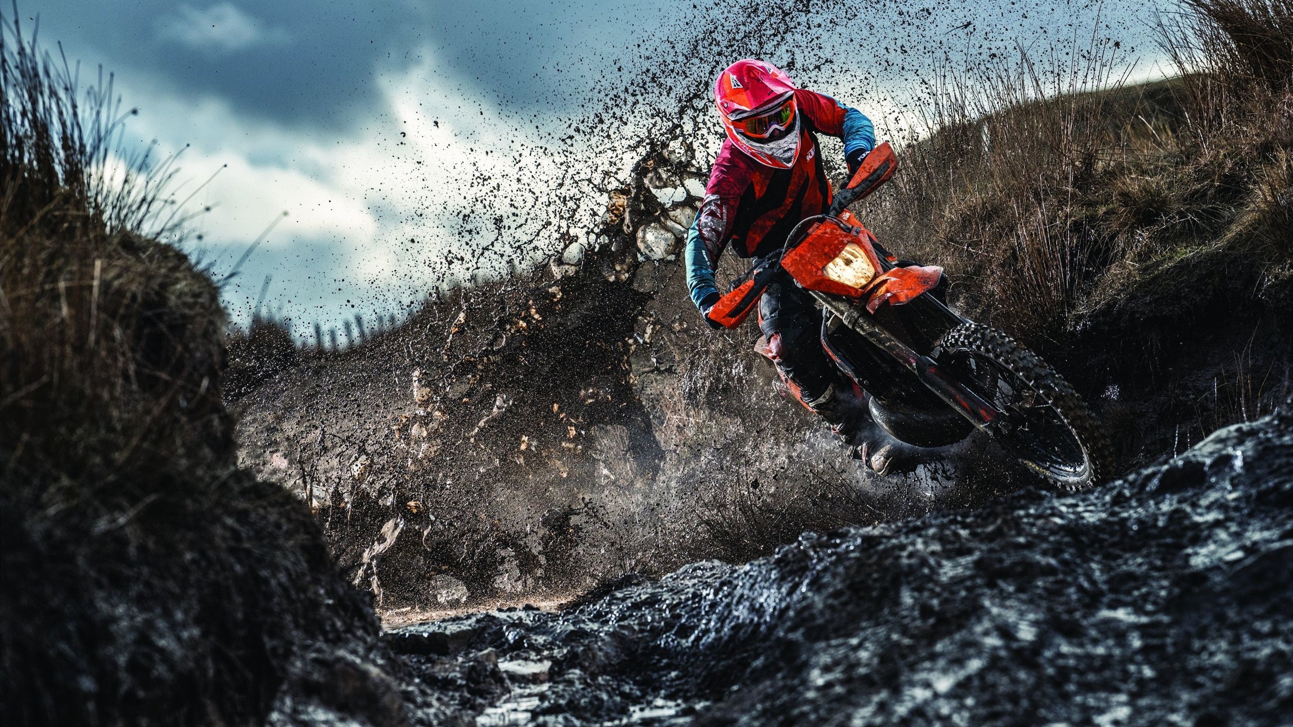 体育赛事市场规模统计